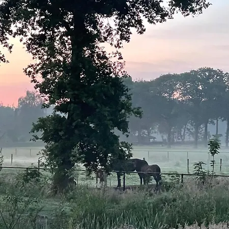 8 住宿加早餐酒店 4*