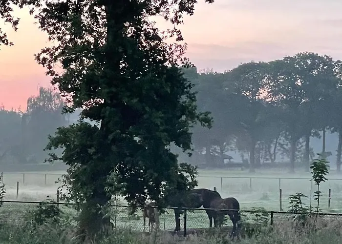 8 Bed & Breakfast 4*